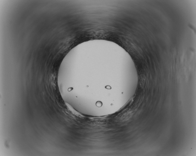 X0000097471010200803141908