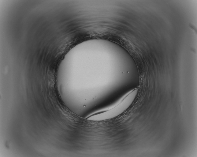 X0000097471012200803141908