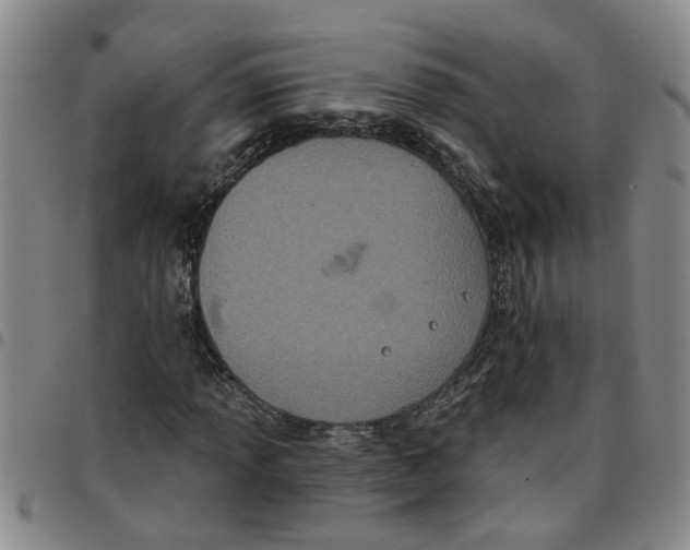 X0000097471013200803141908
