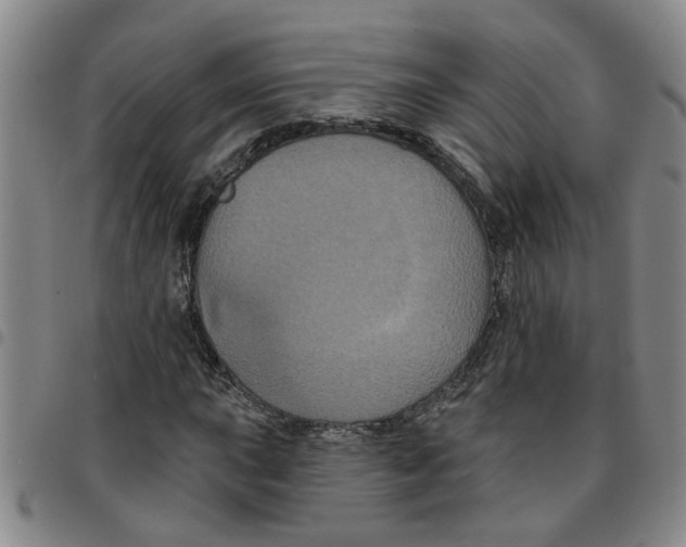 X0000097471015200803141908