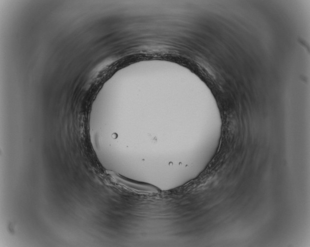 X0000097471016200803141908