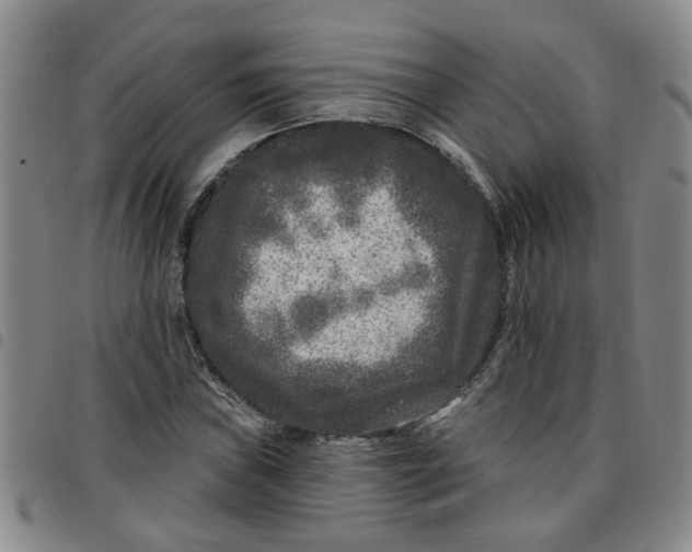X0000097471019200803141908