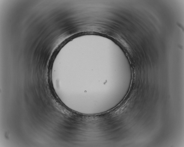 X0000097471020200803141908