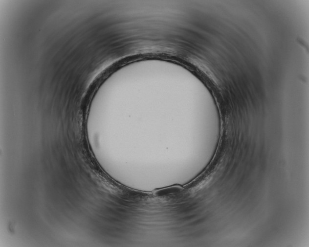 X0000097471021200803141908