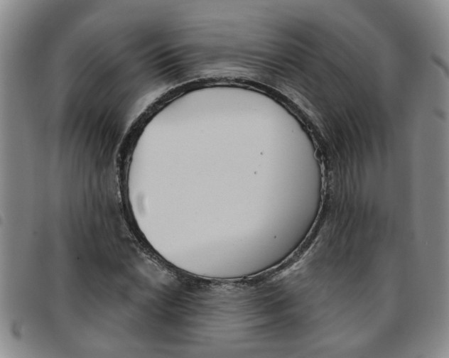 X0000097471022200803141908