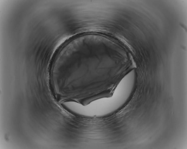X0000097471024200803141908