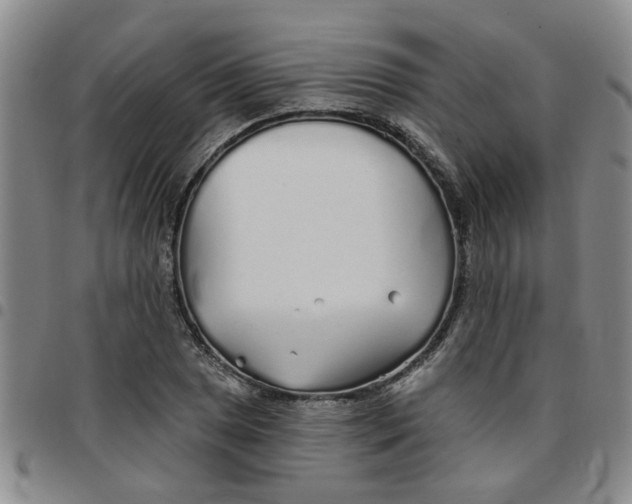 X0000097471025200803141908