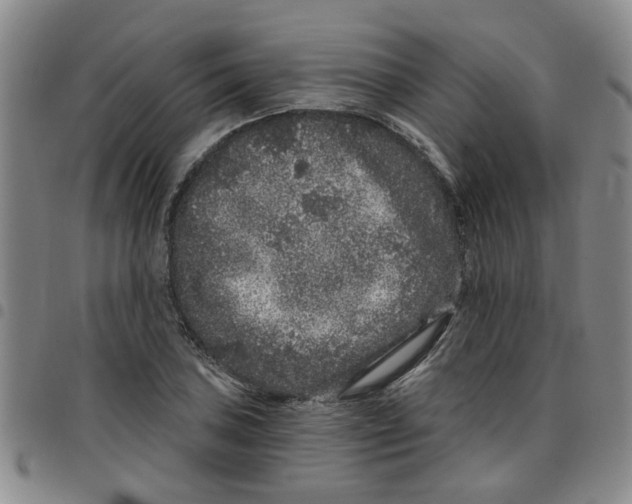 X0000097471027200803141908