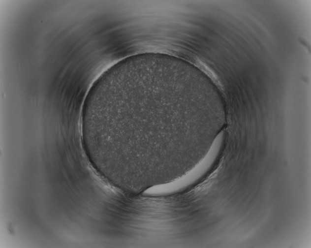 X0000097471028200803141908