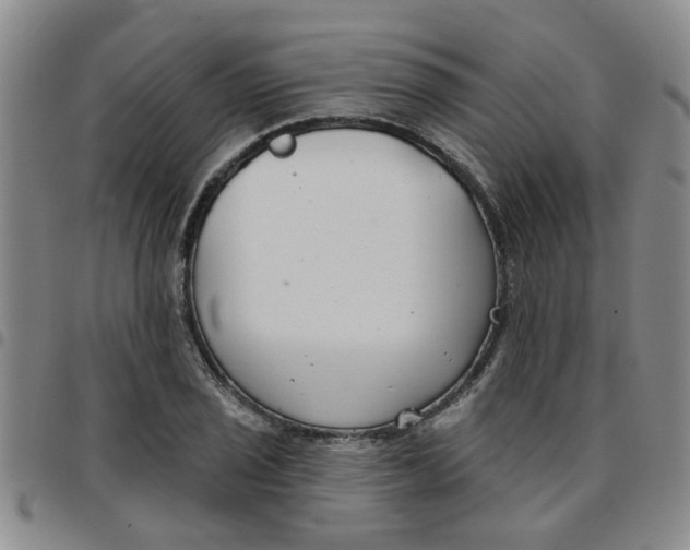 X0000097471029200803141908