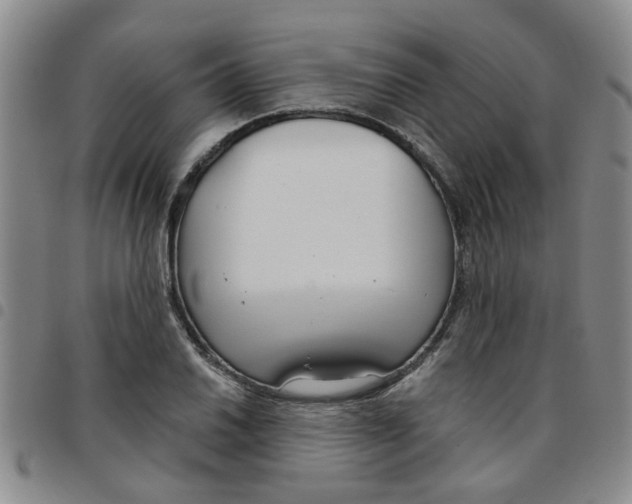 X0000097471030200803141908