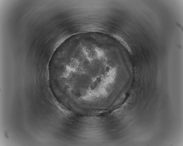 X0000097471031200803141908