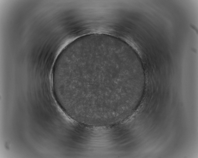 X0000097471032200803141908