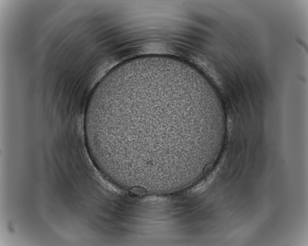 X0000097471033200803141909