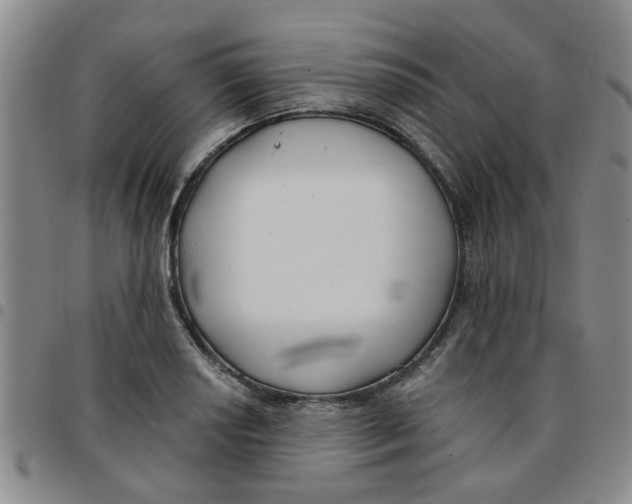 X0000097471034200803141909