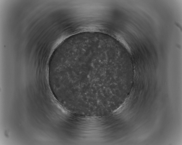 X0000097471035200803141909