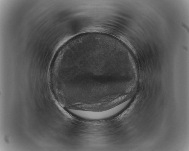 X0000097471037200803141909