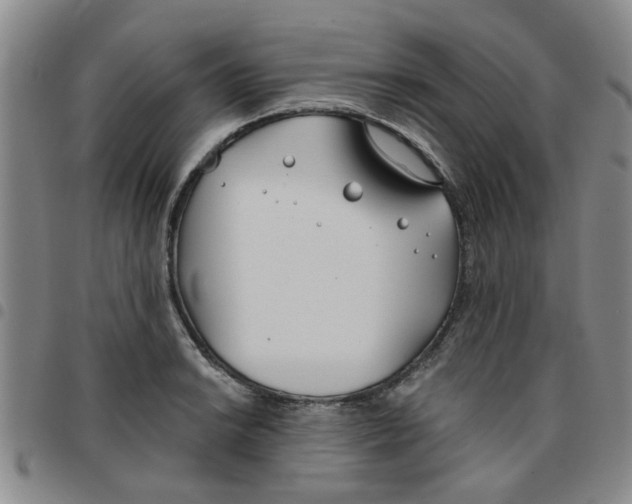 X0000097471038200803141909