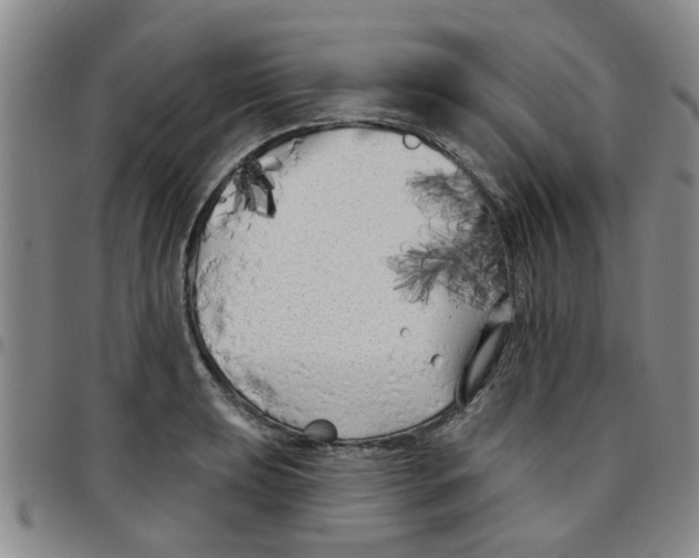 X0000097471039200803141909
