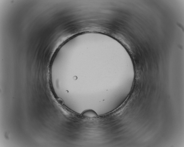 X0000097471040200803141909
