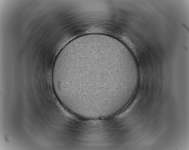 X0000097471041200803141909
