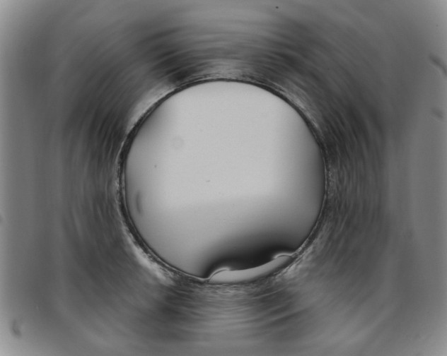 X0000097471042200803141909