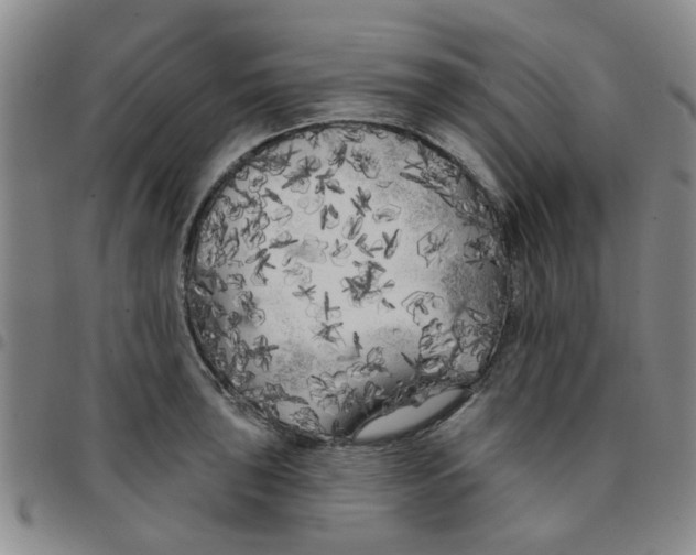 X0000097471043200803141909