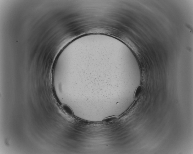 X0000097471044200803141909