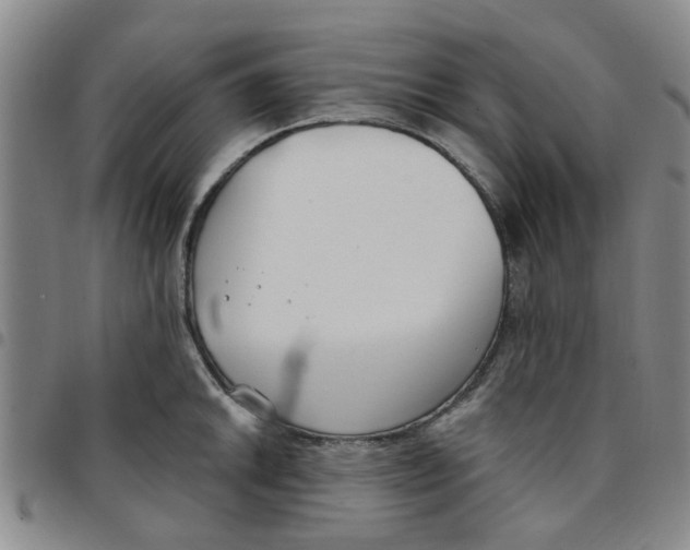 X0000097471046200803141909