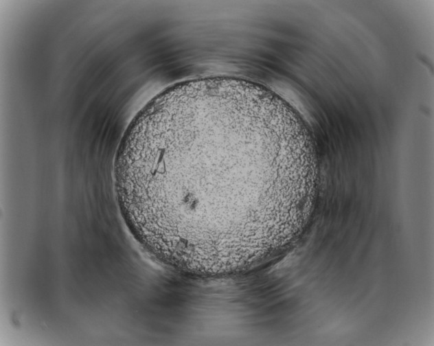 X0000097471047200803141909