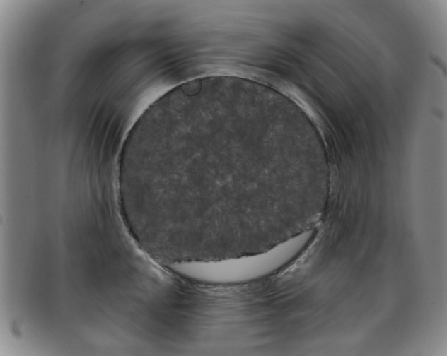 X0000097471048200803141909