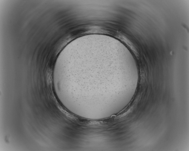X0000097471049200803141909