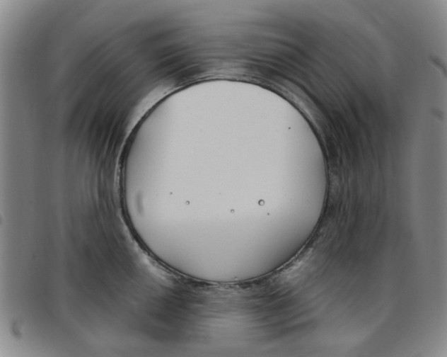 X0000097471050200803141909