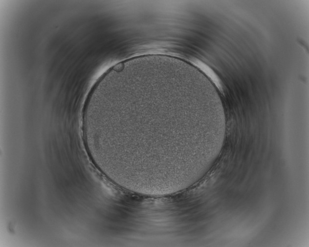 X0000097471051200803141909