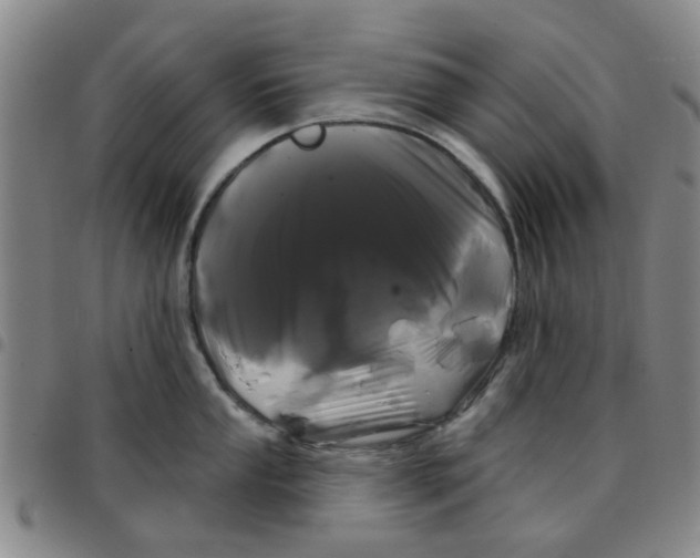 X0000097471053200803141909