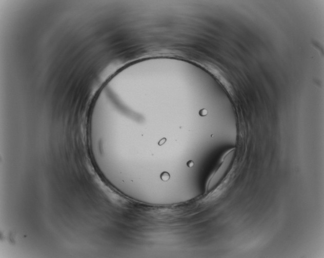 X0000097471054200803141909