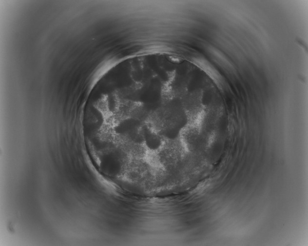 X0000097471055200803141909