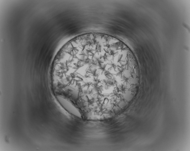 X0000097471056200803141909
