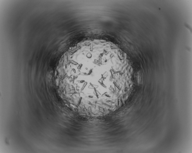 X0000097471059200803141908