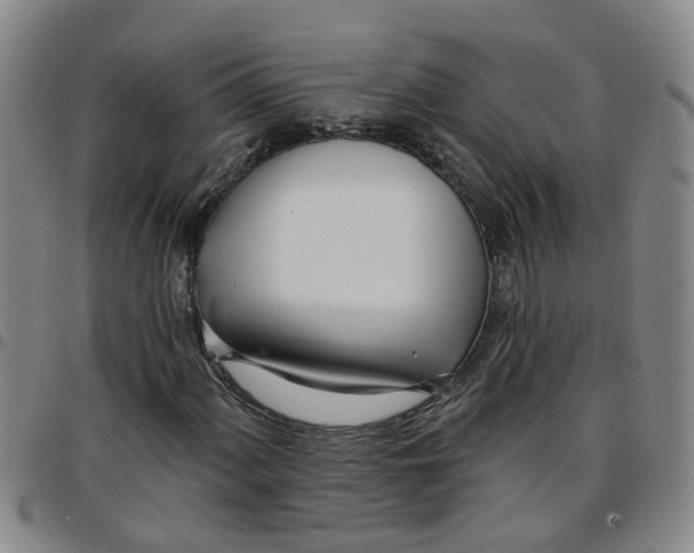 X0000097471060200803141908