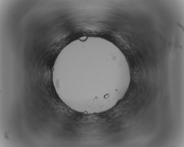 X0000097471061200803141908