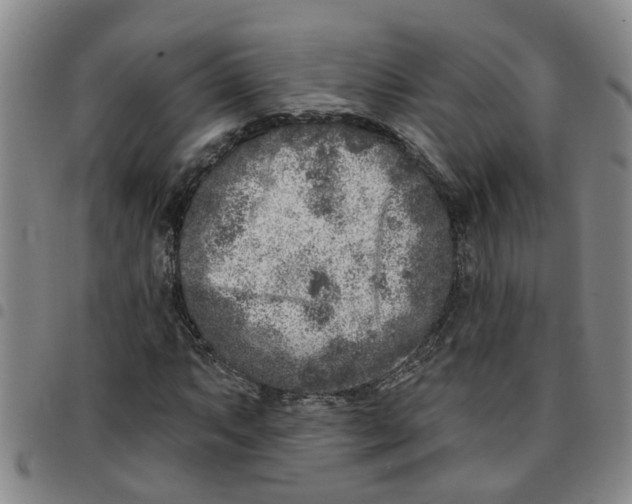 X0000097471063200803141908