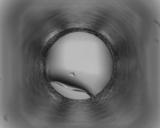 X0000097471064200803141908