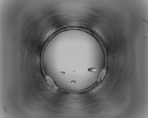 X0000097471065200803141908