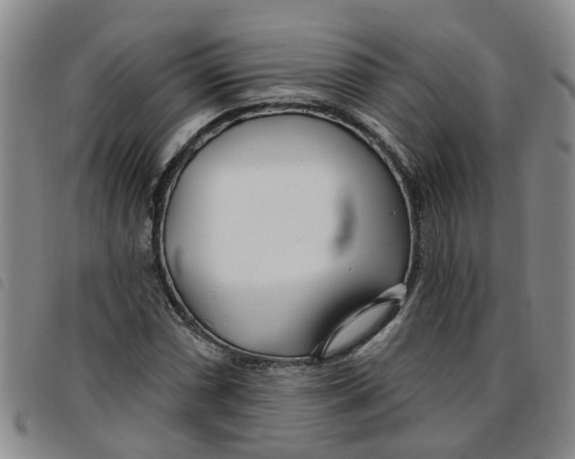 X0000097471066200803141908