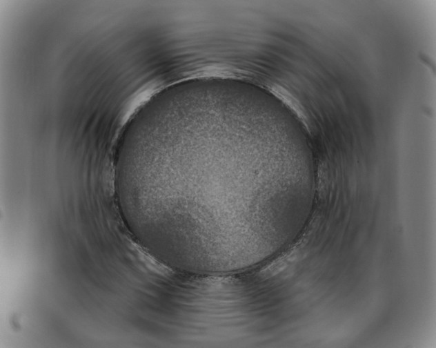X0000097471067200803141908