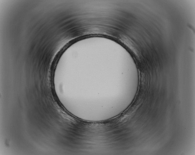 X0000097471068200803141908
