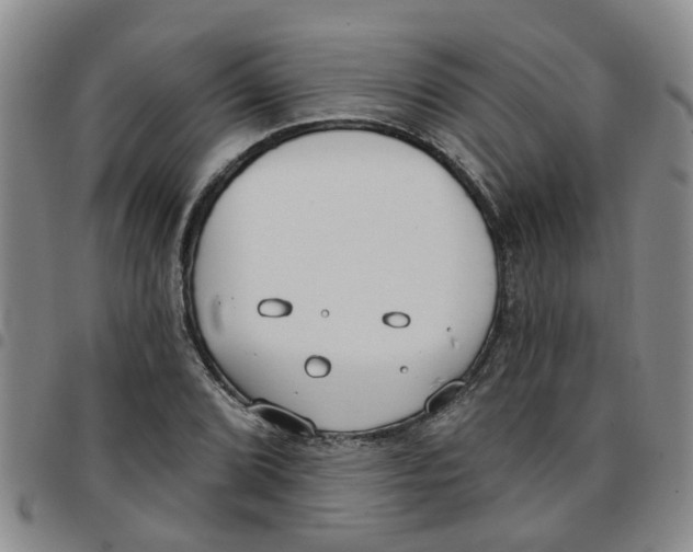 X0000097471072200803141908
