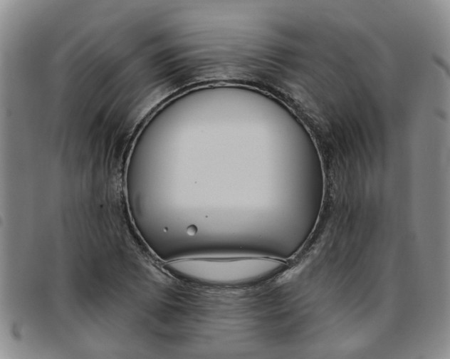 X0000097471073200803141908