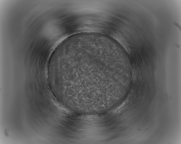 X0000097471074200803141908